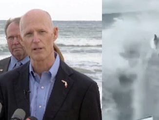 Gov. Rick Scott wants regulations checked after disturbing shark-dragging