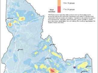 Idaho Sportsmen Identify Most Valued Hunting And Fishing Destinations