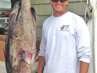 New N.C. State Record Gag Grouper
