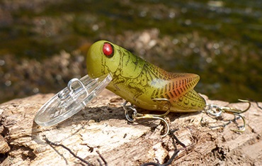 Prime Hopper (grasshopper) Fishing