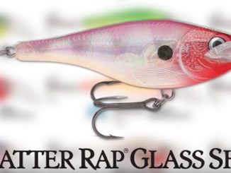 SCATTER RAP GLASS SHAD GIVES A CLEAR ADVANTAGE