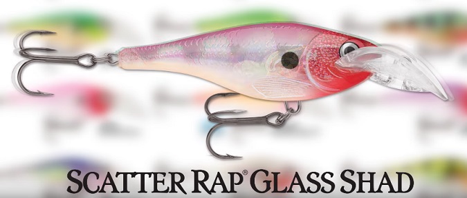 SCATTER RAP GLASS SHAD GIVES A CLEAR ADVANTAGE