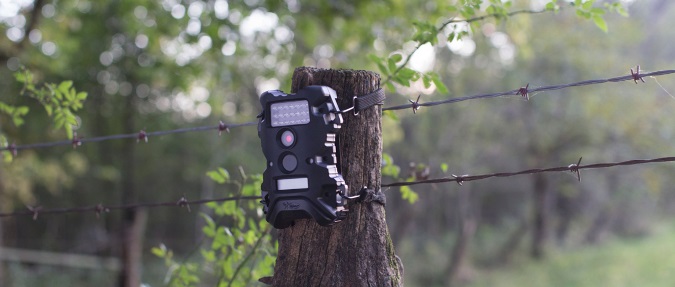 Terra-fy Your Hunting Property With A Scouting Camera