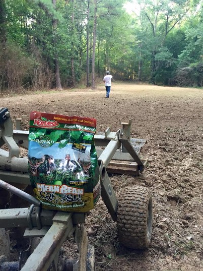 Tips for Late-Summer Food Plots 