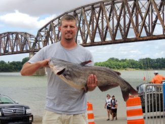 Catfish as Big as Volkswagens by Ron Presley