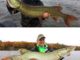 Give your Musky trolling some much-needed Mojo