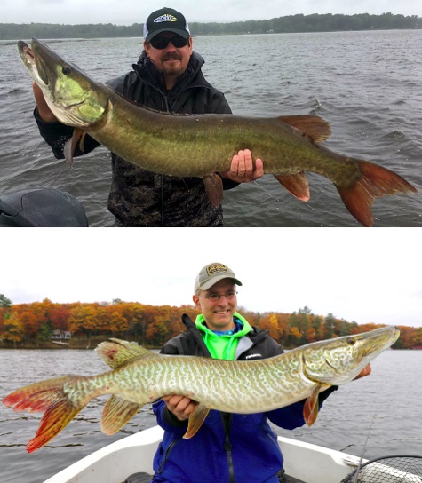 Give your Musky trolling some much-needed Mojo