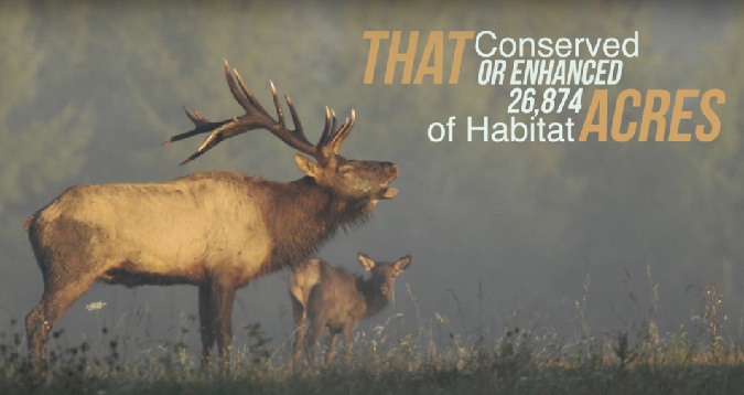 More Elk Country Conserved, Opened to Public Access in Pennsylvania 