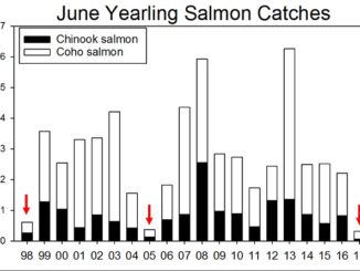 Ocean conditions for salmon headed to sea this year are very poor, according to recent NOAA Fisheries research surveys, and have a high likelihood of depressing salmon returns to the Columbia River in the next few years.