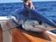 Shark Fishing Tips From Out Friends In New York