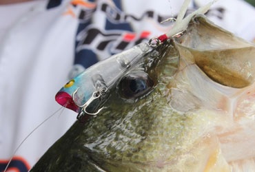 When To Go With Small Baits For Big Fish