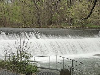 Bloede Dam removal