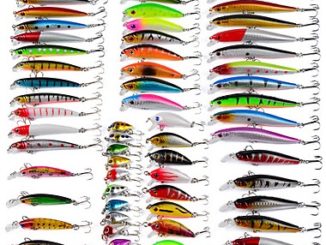 Does Color Really Matter When Choosing You Lures Color