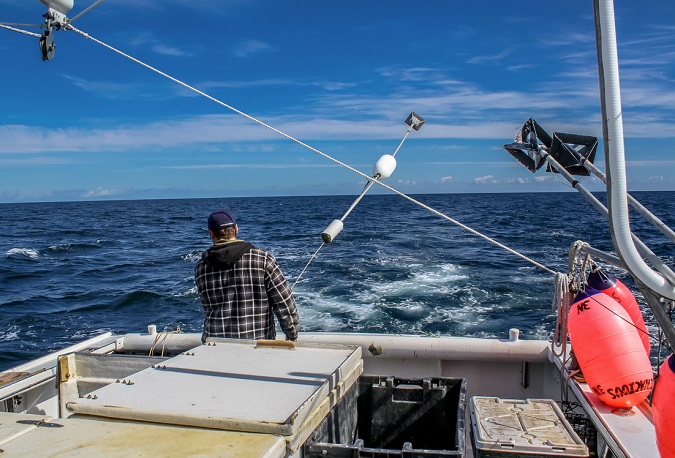 Fishing Industry