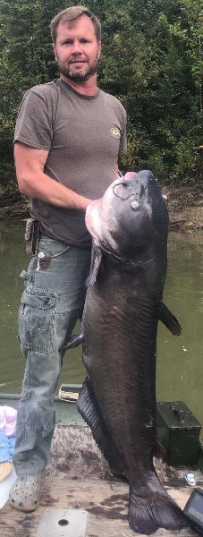 Georgia's New State Record Blue Cat By 12 Pounds