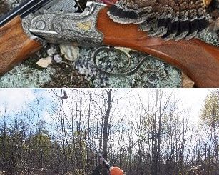 Grouse and Woodcock Hunts