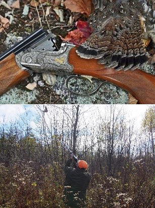 Grouse and Woodcock Hunts