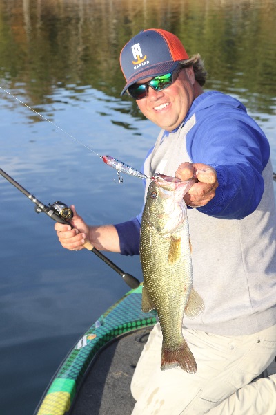 MONITOR THE FALL BAIT ROUNDUP FOR MORE BASS
