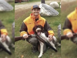 Minnesota Grouse Hunter and Dog Surrounded by Wolves on Hunt