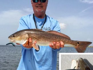 Patterns for Early Winter Redfish