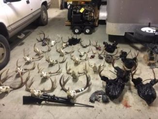 Southwest Washington Poaching Bust Is Unprecedented