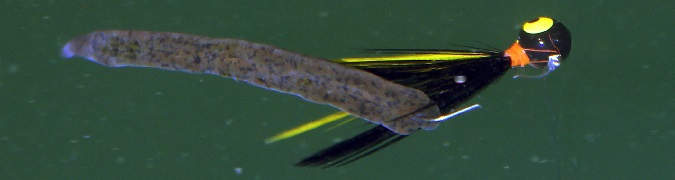 Super-Size Panfish