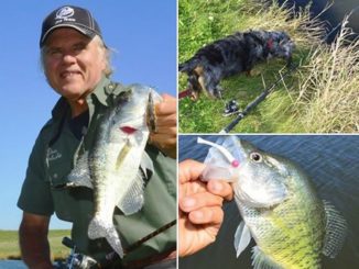 The First Crappie Came On A Yellow Perch Rat-L-Trap