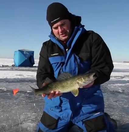 We Can Start Thinking About Early Walleyes