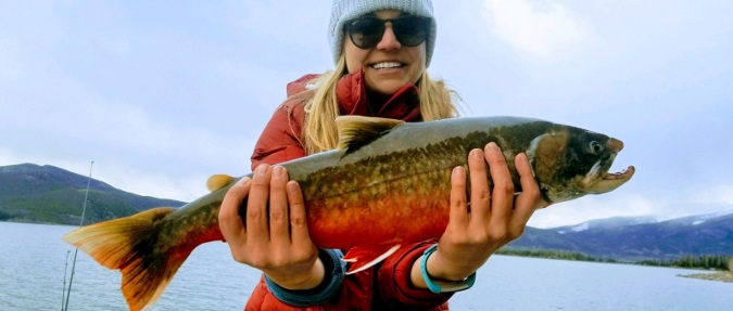 A Record Char from Colorado's Dillon Reservoir Landed
