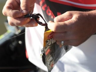 Berkley Fishing - Catch The Big Chill For Bass