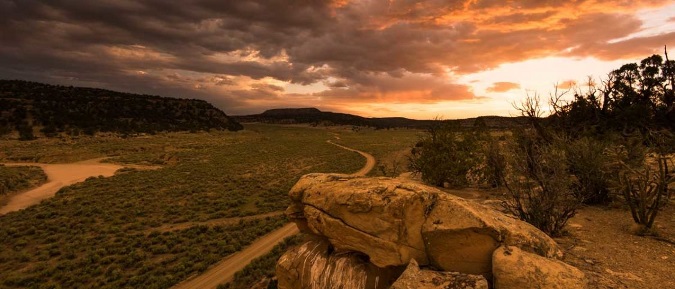 Grants Enhance New Mexico Elk Habitat, Hunting Heritage