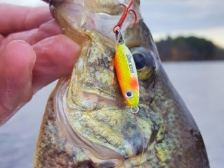 Ice Spoons for Early Ice Crappies