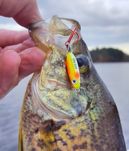 Ice Spoons for Early Ice Crappies