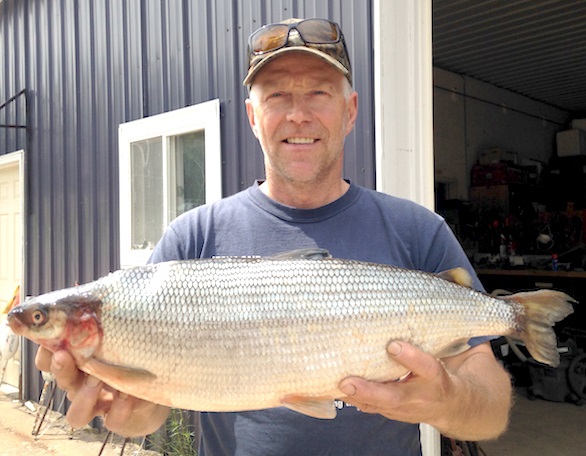 Michigan Announces New Record Cisco (lake herring) from Lake Ottawa 