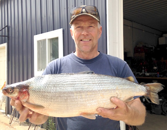 Michigan Announces New Record Cisco from Lake Ottawa