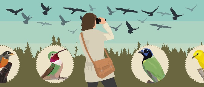 Migrating to Birding Locations This Year 2