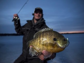 New Must-Have Tungsten Ice Jig