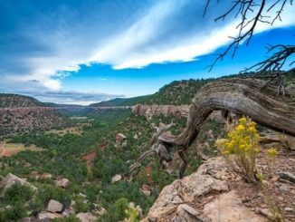 Public Access to Sabinoso Wilderness Achieved