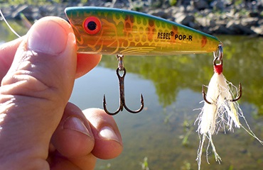 Rebel Lures Pop-R: Pop, Chug, Spit  OutDoors Unlimited Media and Magazine