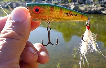 Rebel Lures Pop-R: Pop, Chug, Spit