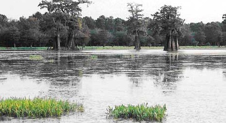 BHA Wades into Legal Fight over Access to Famed Catahoula Lake in Louisiana