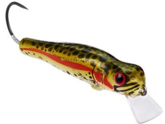 Lures For Immediate Success on Delayed Harvest Trout Streams