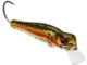 Lures For Immediate Success on Delayed Harvest Trout Streams