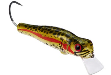 Lures For Immediate Success on Delayed Harvest Trout Streams