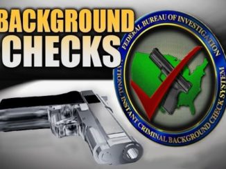 National Instant Criminal Background Check System