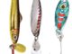 Three New Lures From Clam