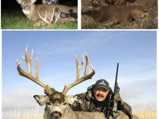 30+ Experts Share Hunting Tips & 3 Things They Never Miss To Carry