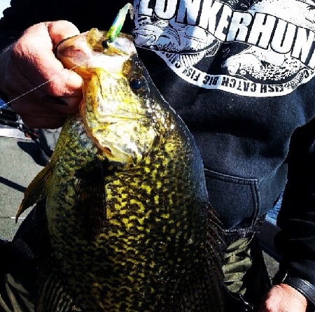 4 Tips for Finding and Catching Early Season Crappie