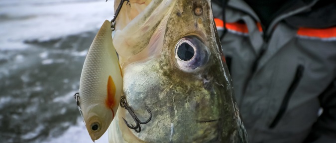 Lipless Rattlebait