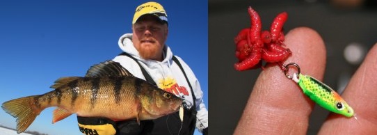 Baiting Technique Turns Fish to Stone